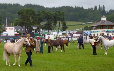 Welsh Cob Film Archive